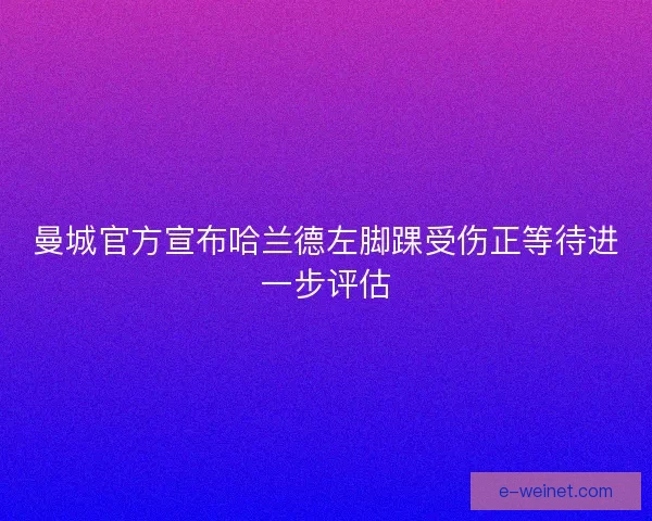 曼城官方宣布哈兰德左脚踝受伤正等待进一步评估