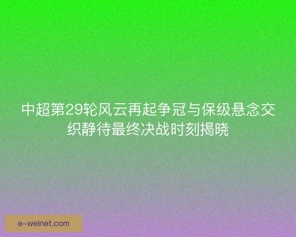 中超第29轮风云再起争冠与保级悬念交织静待最终决战时刻揭晓