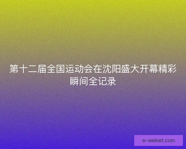 第十二届全国运动会在沈阳盛大开幕精彩瞬间全记录