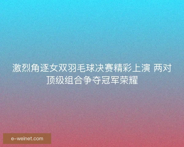 激烈角逐女双羽毛球决赛精彩上演 两对顶级组合争夺冠军荣耀